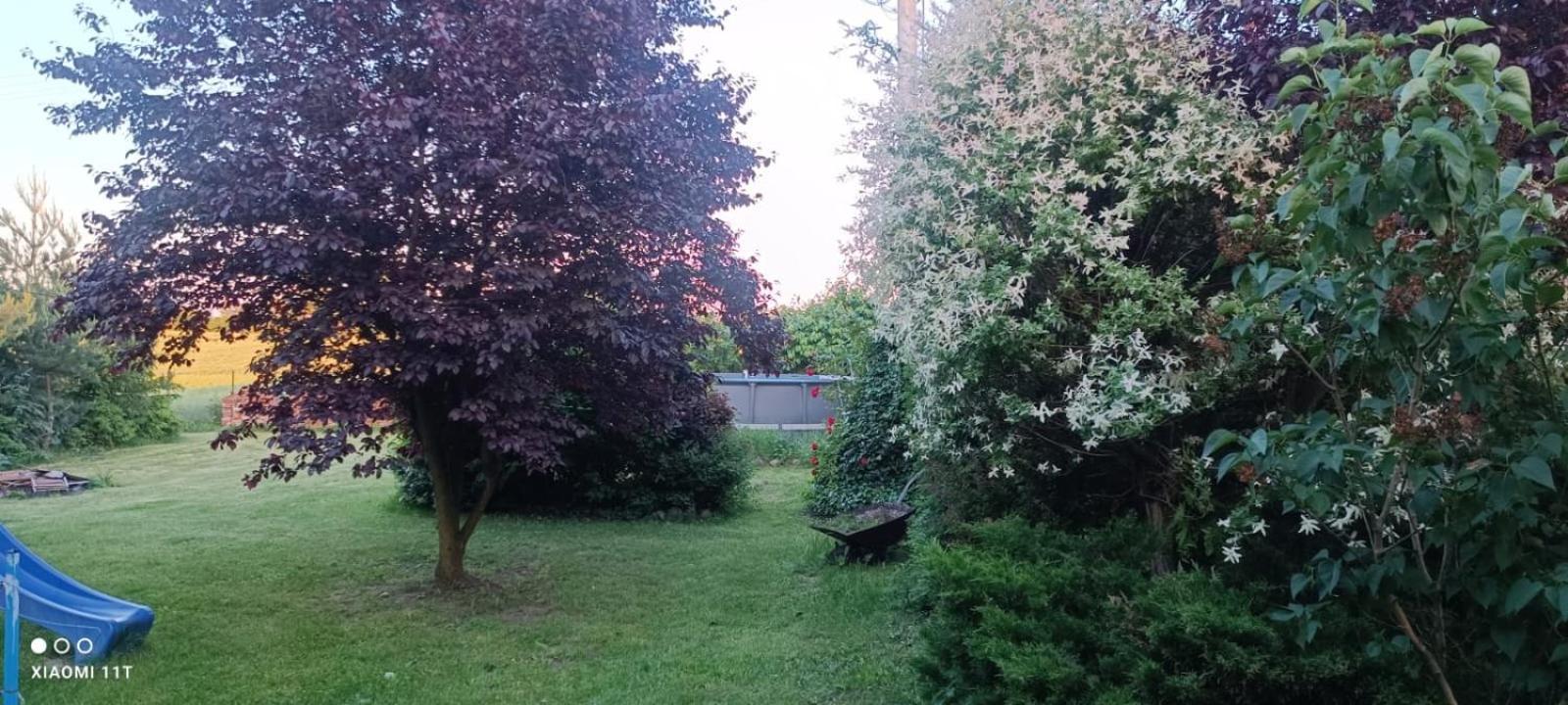 Apartament Pod Toruniem Grebocin  Bagian luar foto