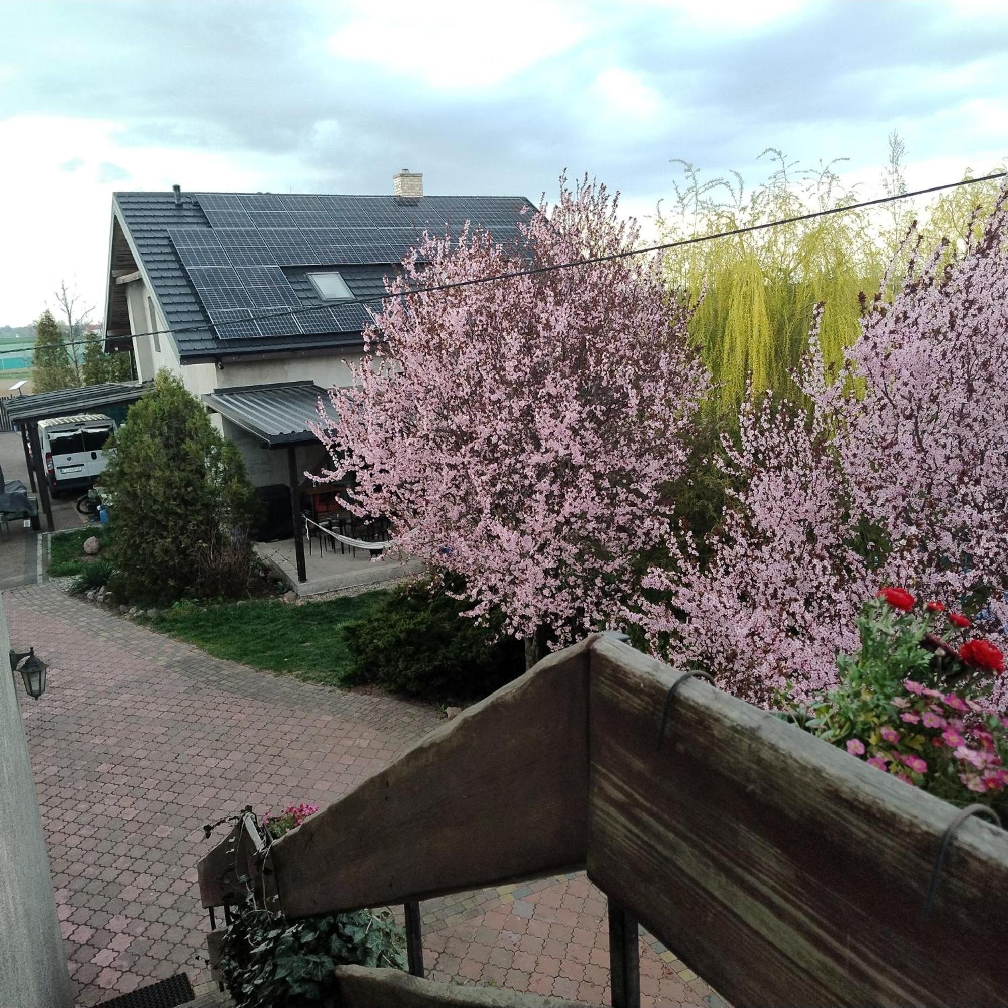 Apartament Pod Toruniem Grebocin  Bagian luar foto
